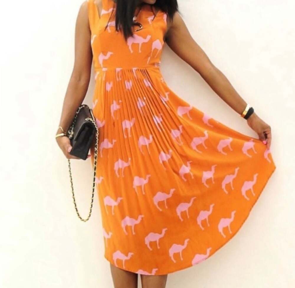 Anthropologie Charlotte Taylor  Camel Print Shift Dress, Burnt Orange and Pin